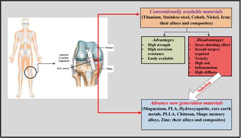  Orthopaedic Composites: Reinforcing the Future of Biomedical Engineering!